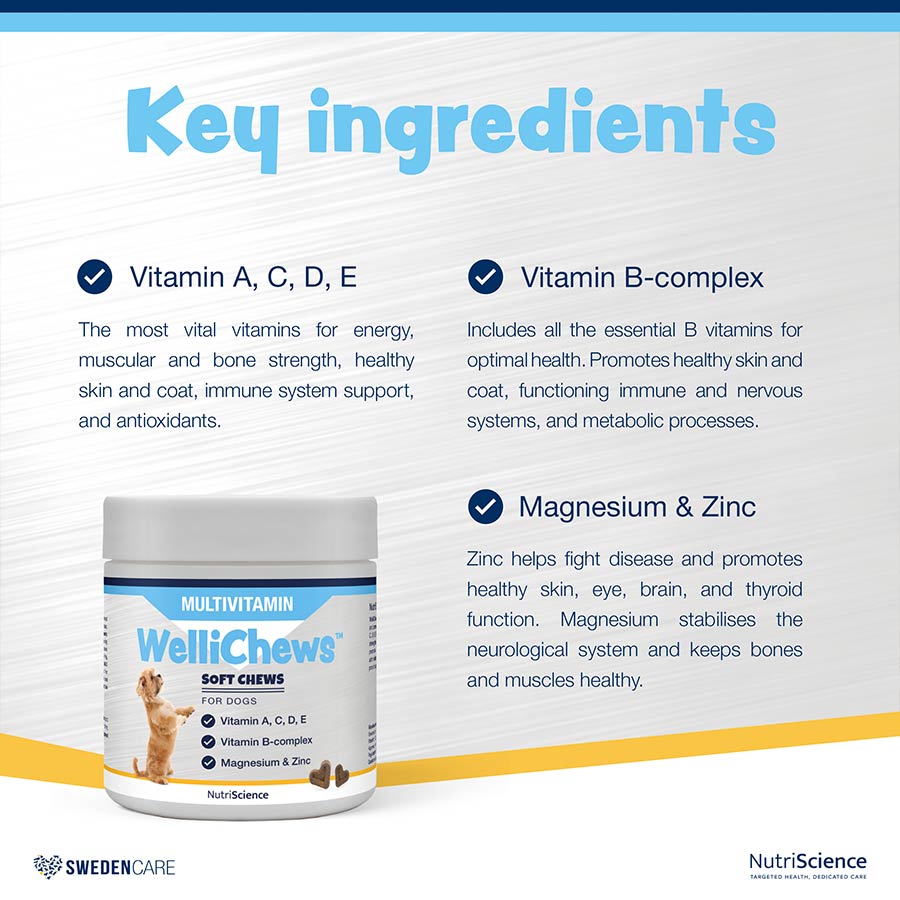 WelliChews™ Multivitamin Soft Chews for Dogs 60