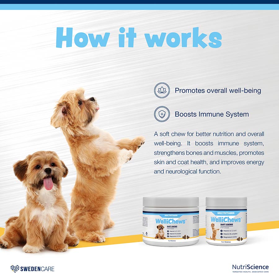 WelliChews™ Multivitamin Soft Chews for Dogs 60