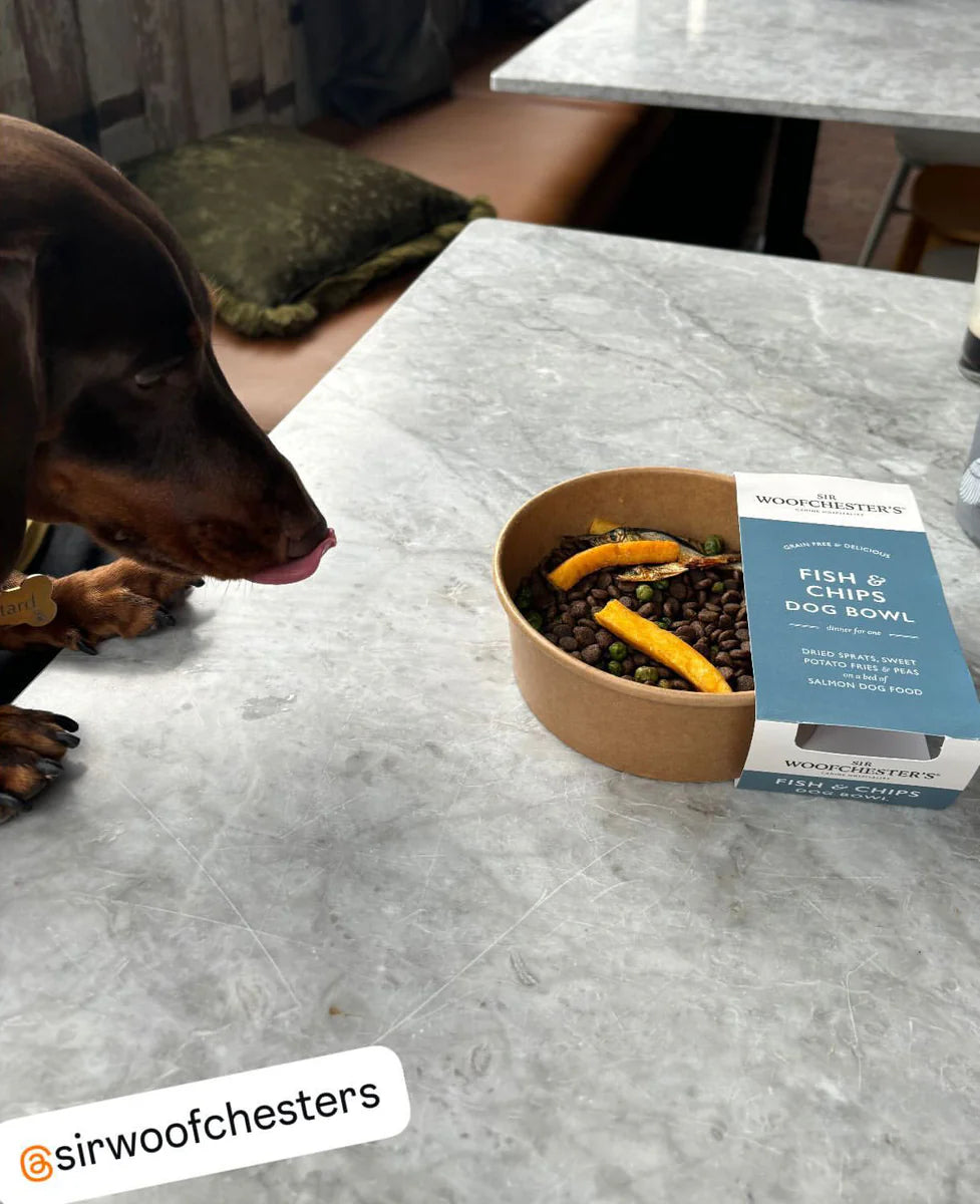Fish & Chips Dog Bowl