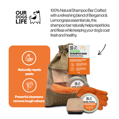 The Bug Off Shampoo Bar and Balm