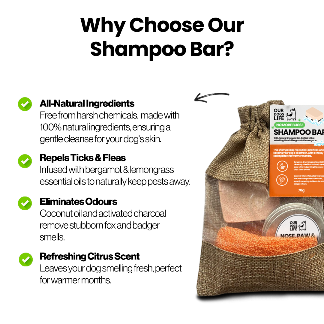 The Bug Off Shampoo Bar and Balm
