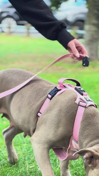 Easy Lock Harness Set