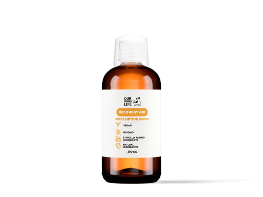 Dog Recovery Supplement Drops