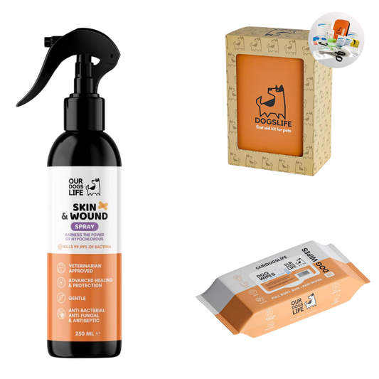 Travel Essentials Kit For Dogs