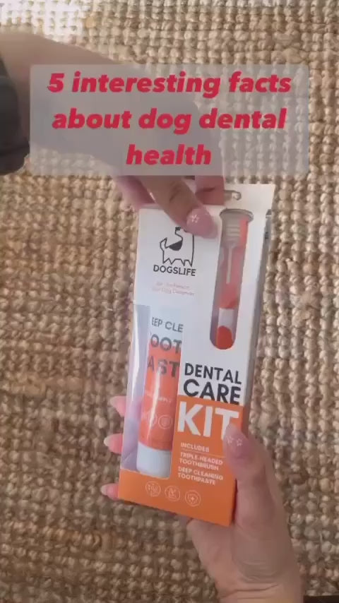 Buy Dog Toothpaste And Brush Online | Next Day Delivery – OurPetsLife