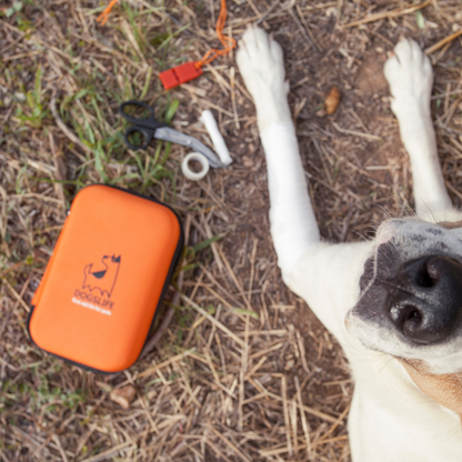 First Aid Kit for Dogs