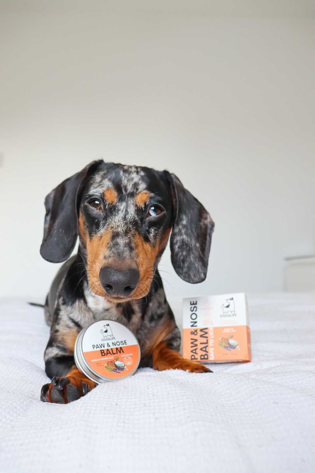 Protective Paw and Nose Balm