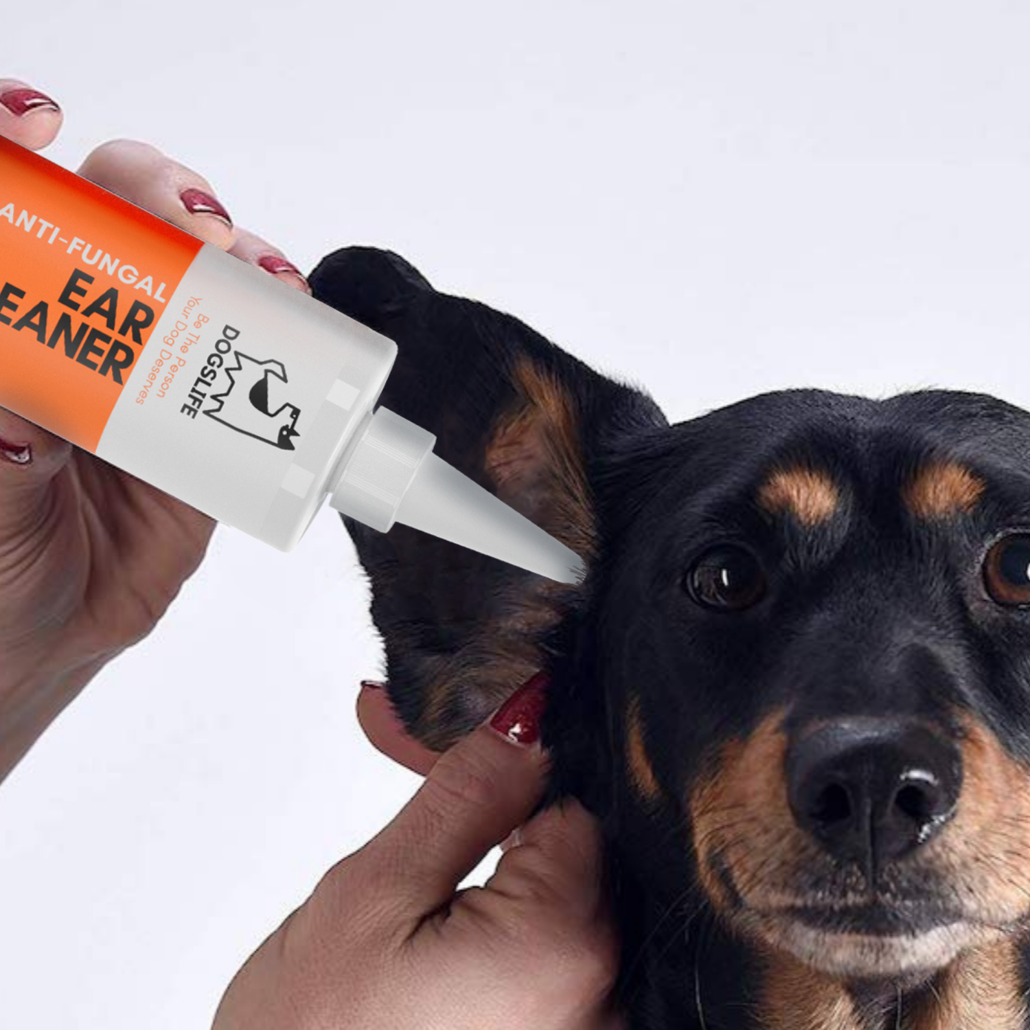 Epikalm ear top cleanser for dogs