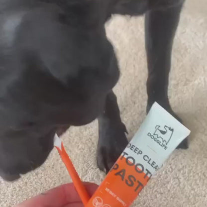 Dog Toothpaste and Toothbrush Set