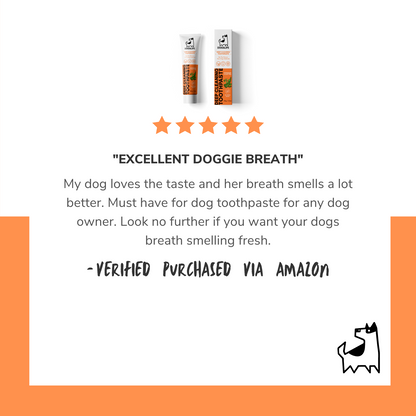 Toothpaste for Dogs