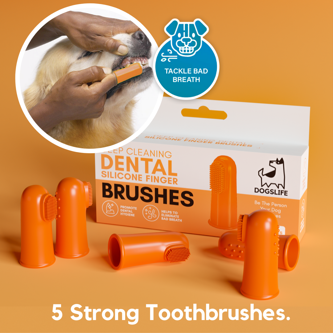 Best dog on sale finger toothbrush