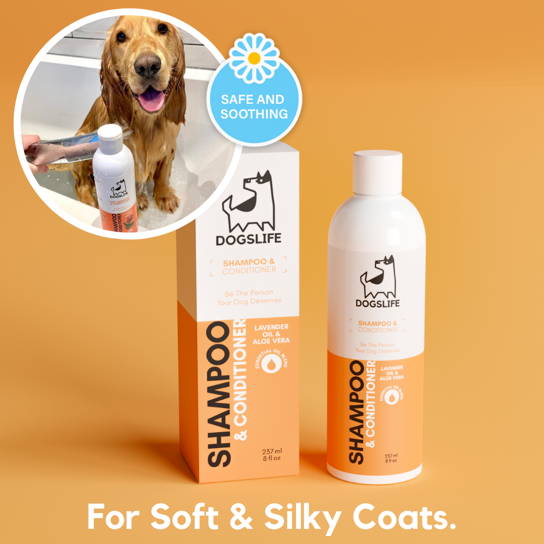 Our top dog shampoo