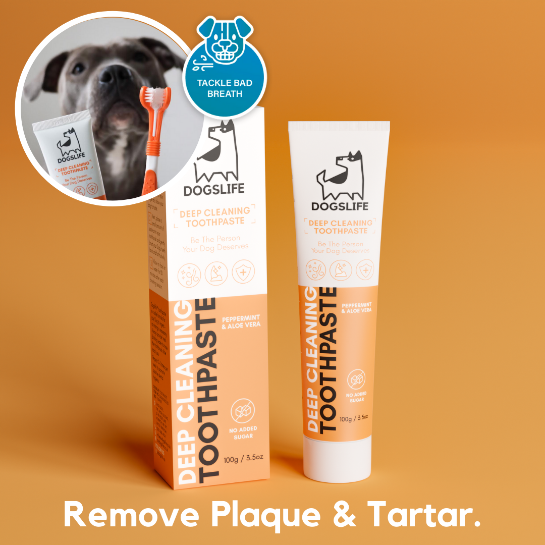 Toothpaste for Dogs