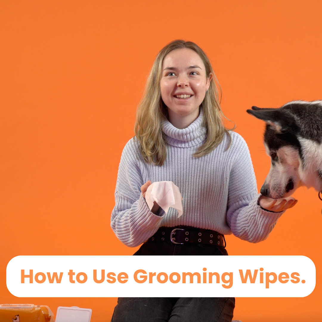 Dog sales grooming wipes