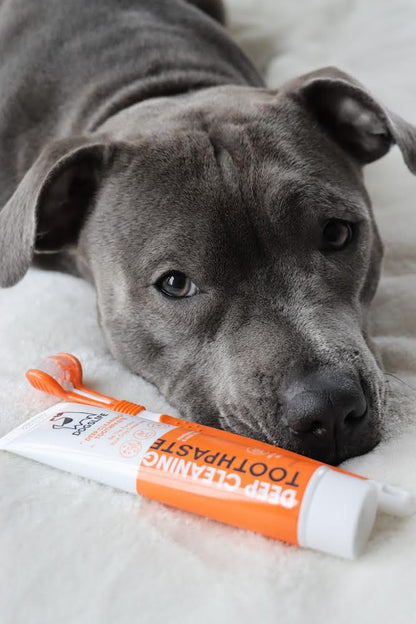 Toothpaste for Dogs