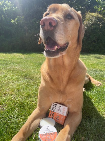 Itch Relief Balm for Dogs