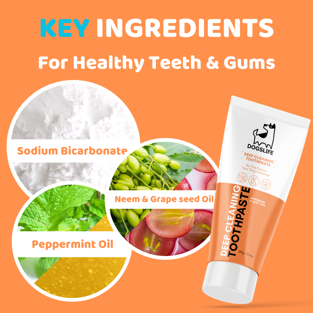 Buy dog toothpaste outlet