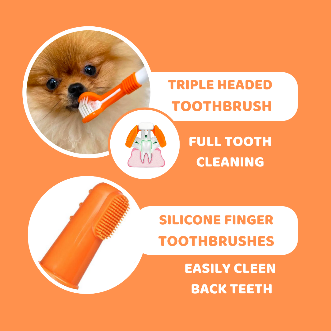Buy Dog Toothpaste And Brush Online OurPetsLife