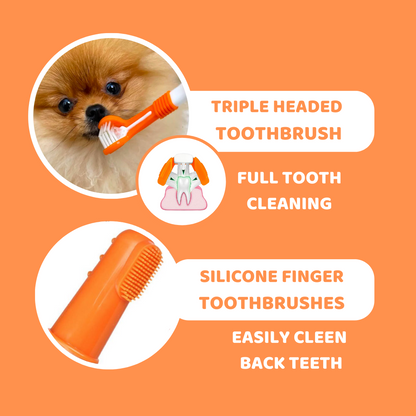 Dog Toothpaste and Toothbrush Set