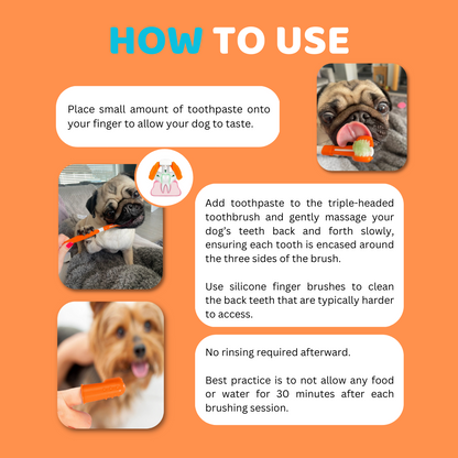 Best tasting dog toothpaste hotsell