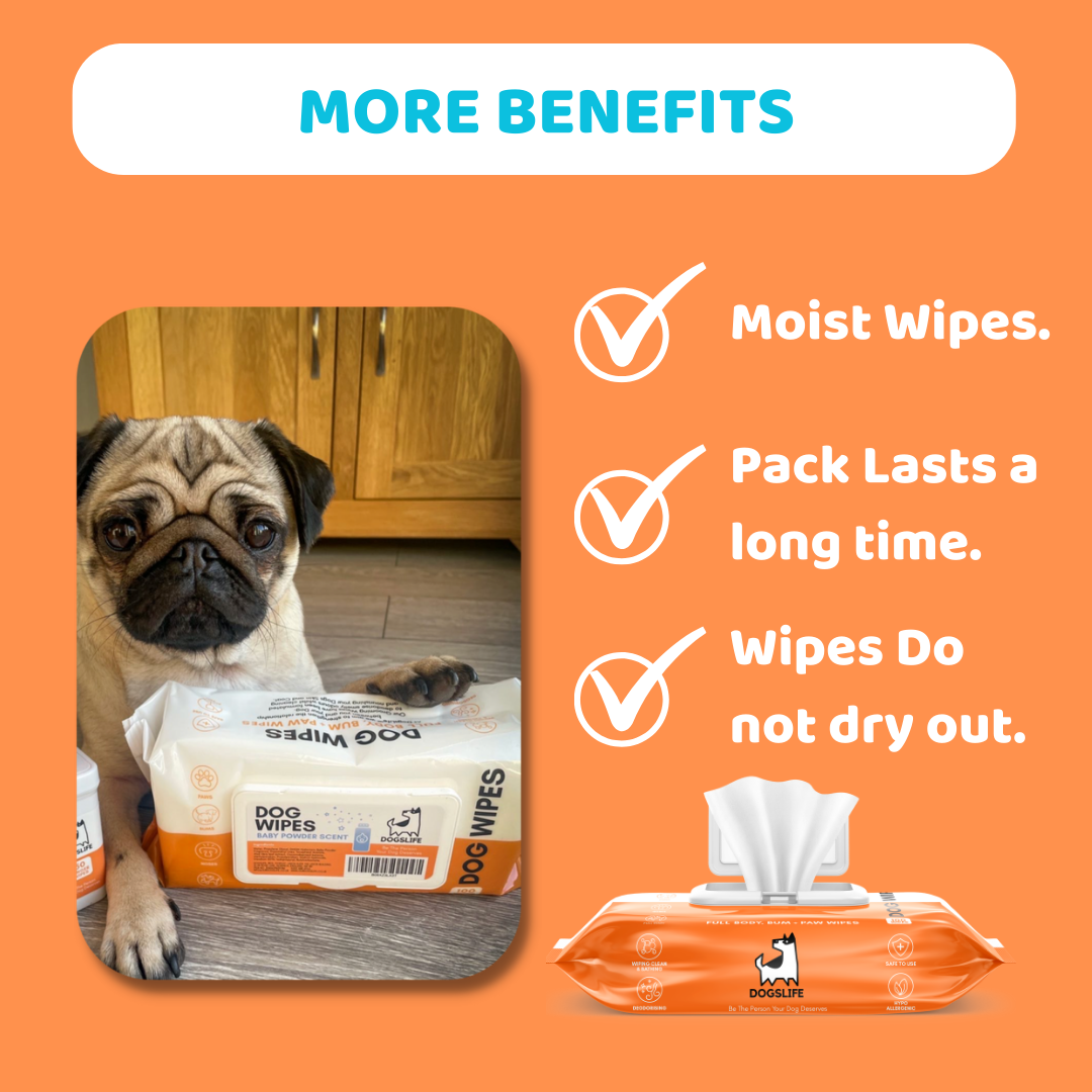 Antibacterial Dog Wipes Buy Online Today OurPetsLife
