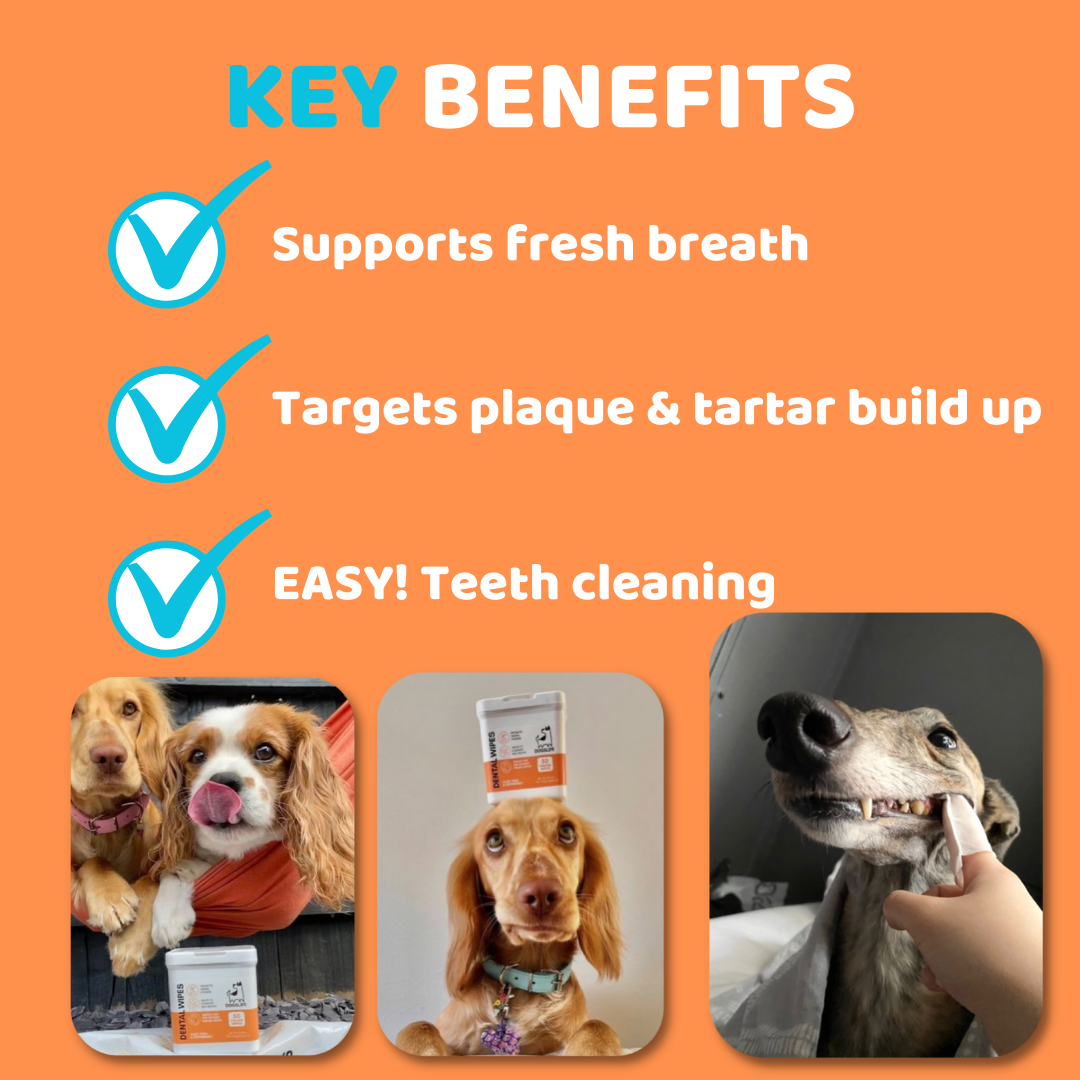 Dog clearance teeth wipes