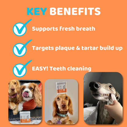 Dog Teeth Cleaning Wipes