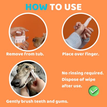 Dog Teeth Cleaning Wipes