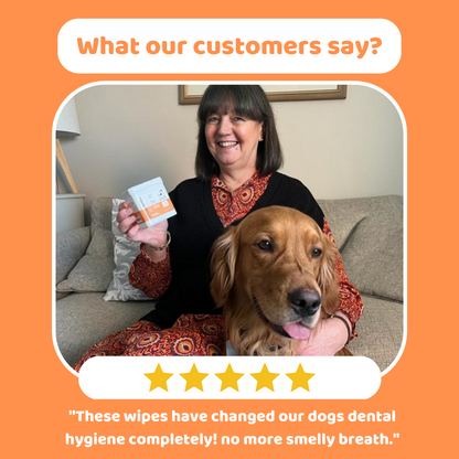 Dog Teeth Cleaning Wipes