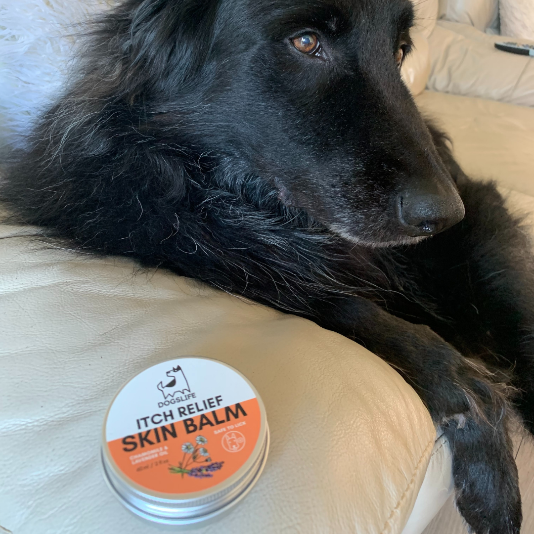 Itch Relief Balm for Dogs