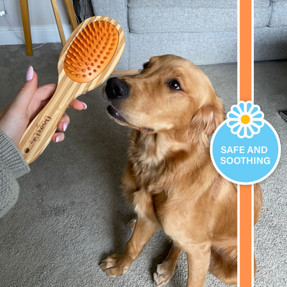 Bamboo dog best sale brush