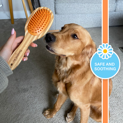 Bamboo Dog Brush