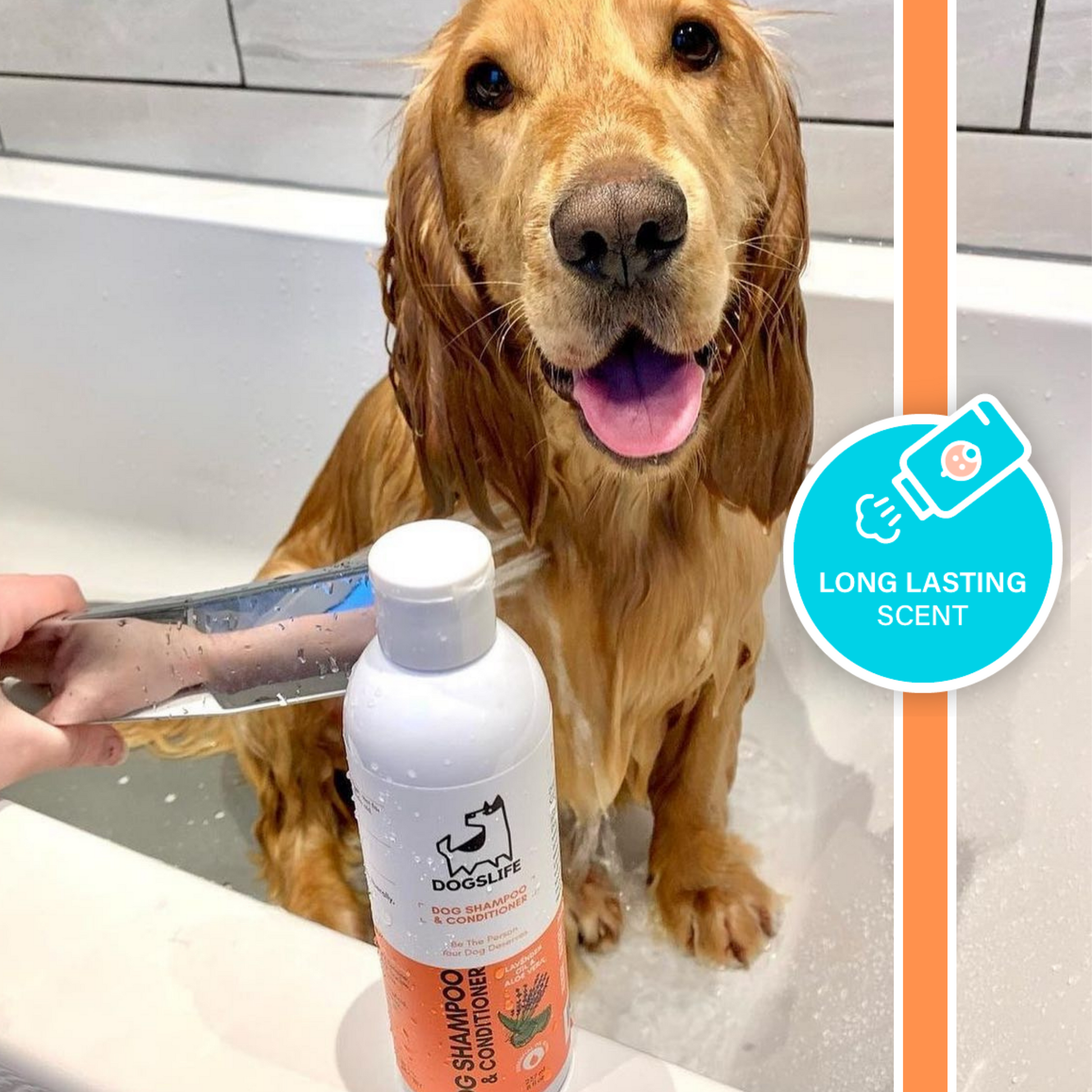 Long lasting 2024 scent dog shampoo