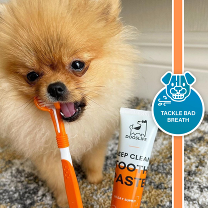 Dog Toothpaste and Toothbrush Set