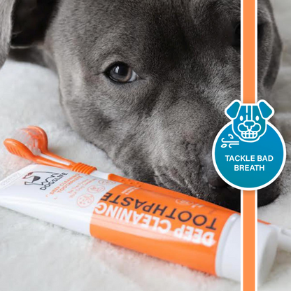 Toothpaste for Dogs