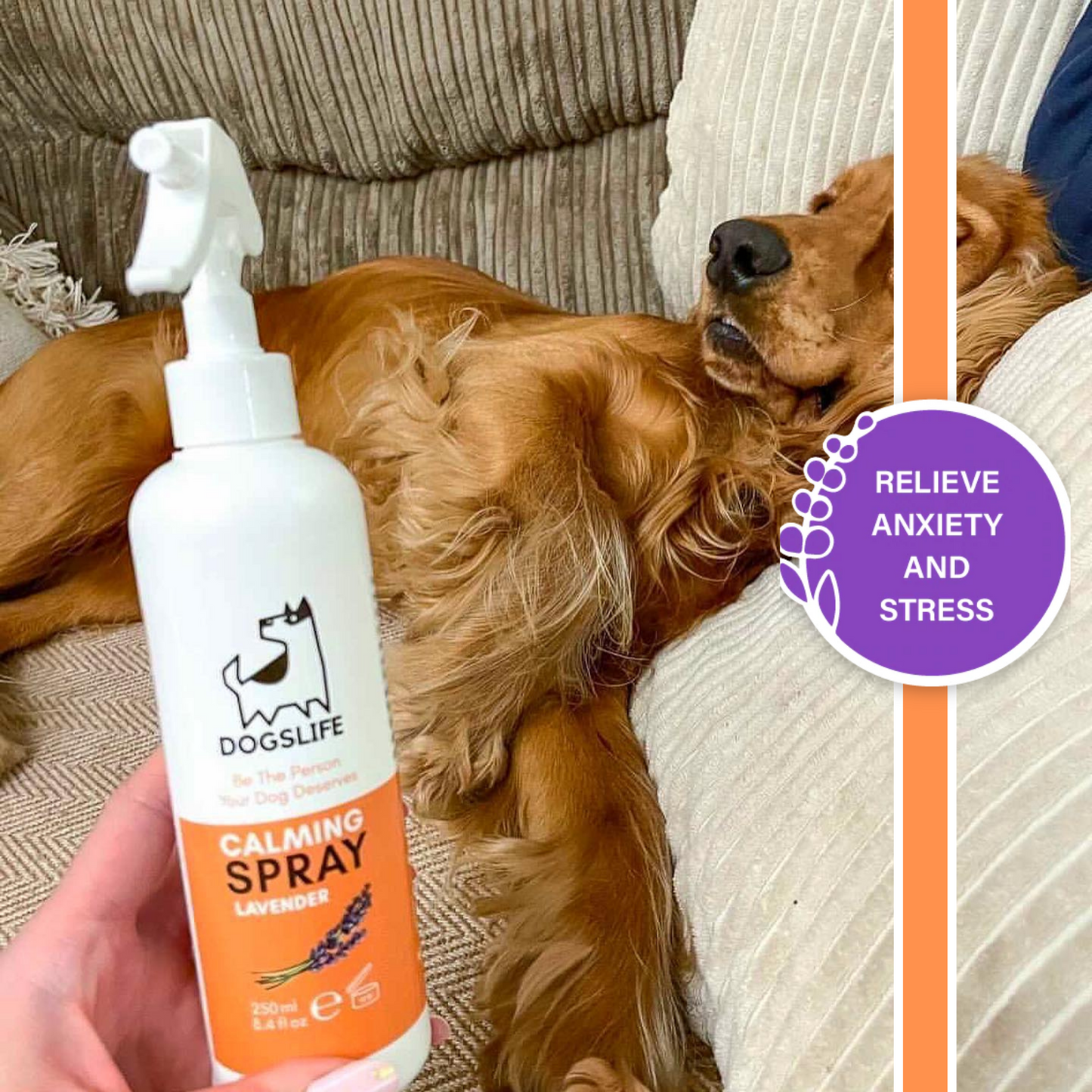 Calming Spray for Dogs
