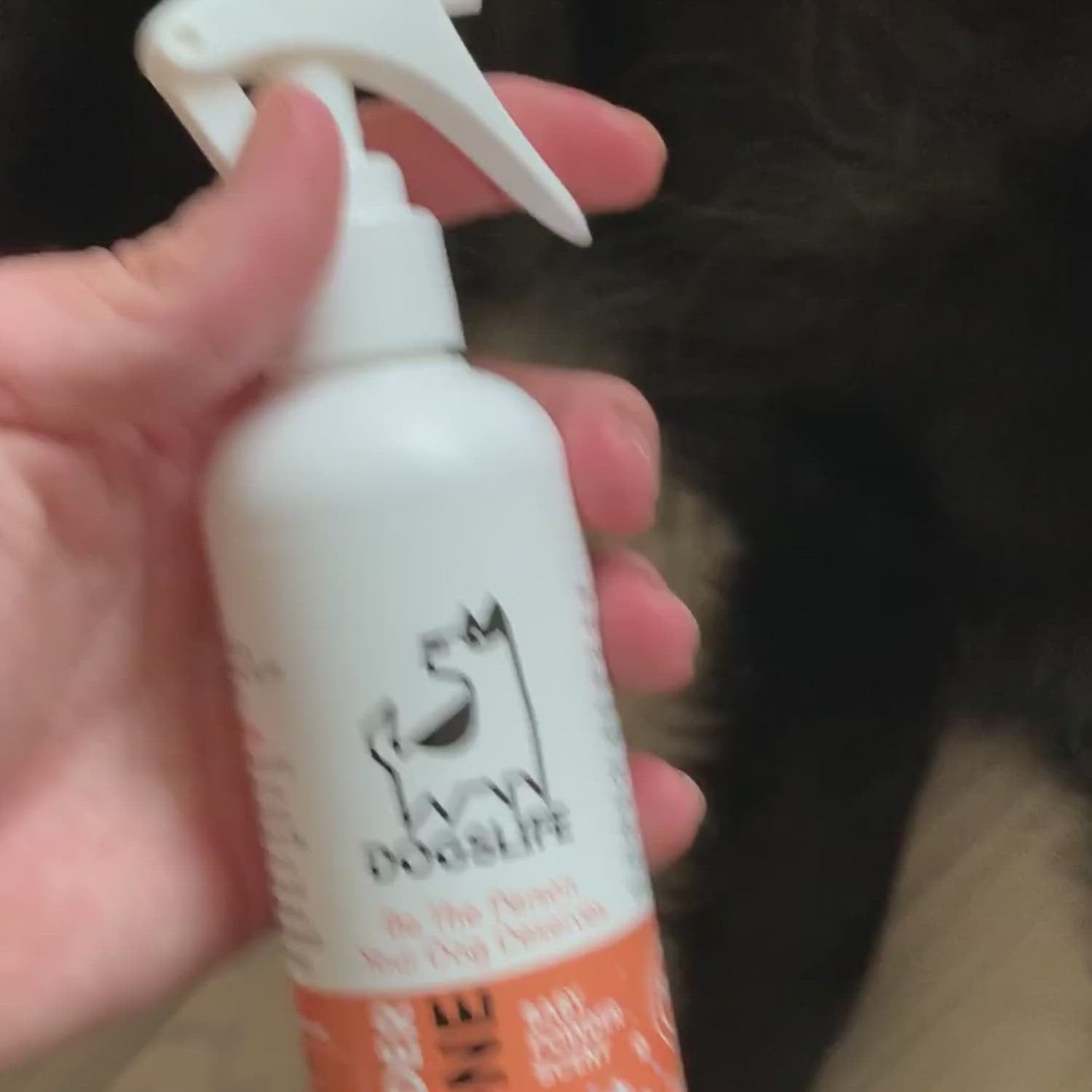 cologne | Baby Powder scented | dogslife | dog care
