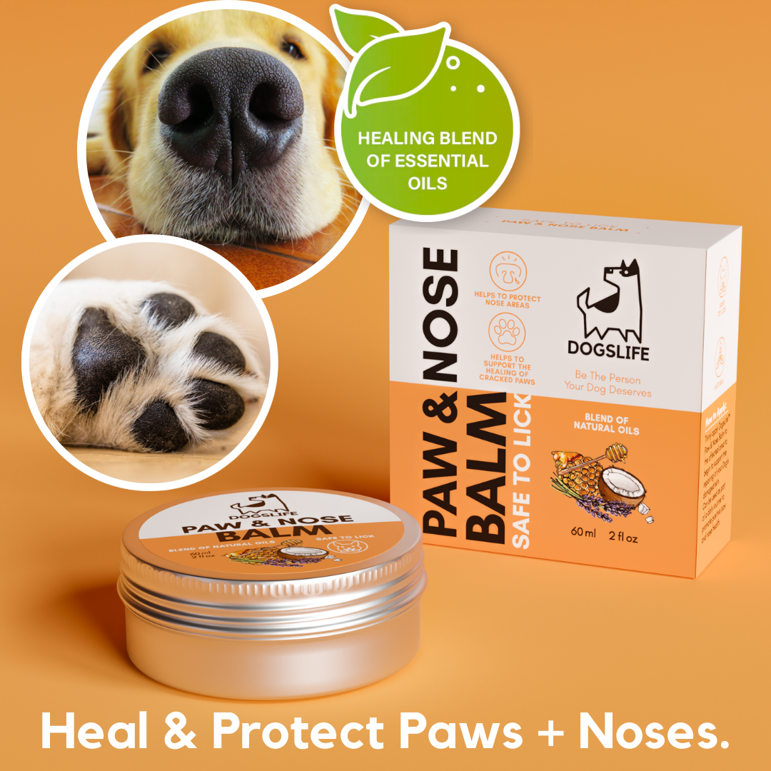 Buy Paw And Nose Balm For Dogs Online OurPetsLife
