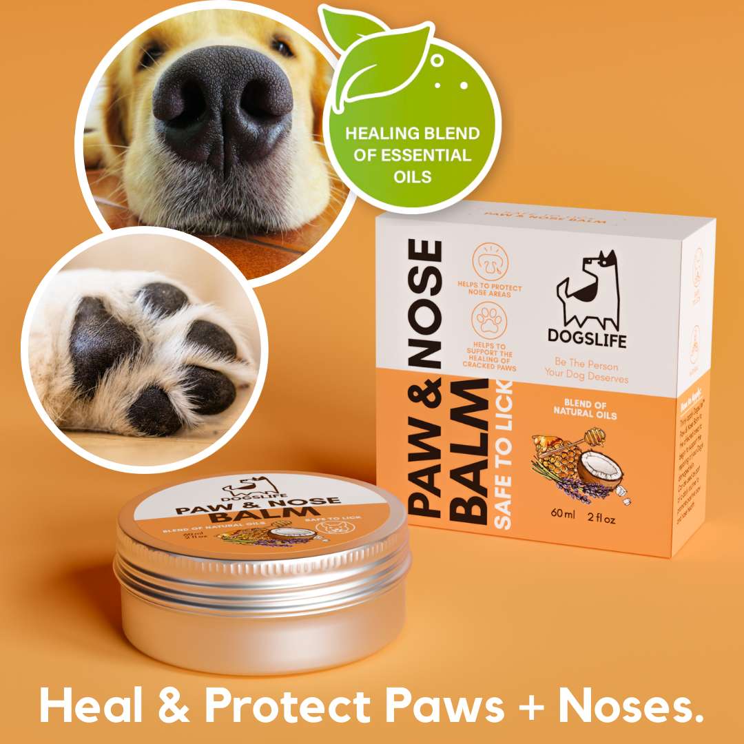 Protective Paw and Nose Balm